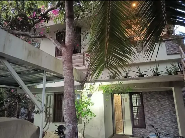 Our family homestay in Alappuzha surrounded by coconut palms