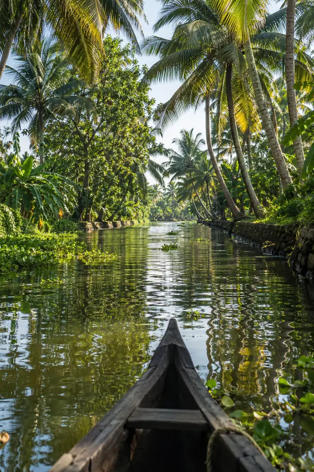 Canal lined with coconut palms in the Alleppey backwaters